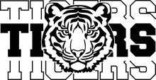 Load image into Gallery viewer, Eye of the Tiger
