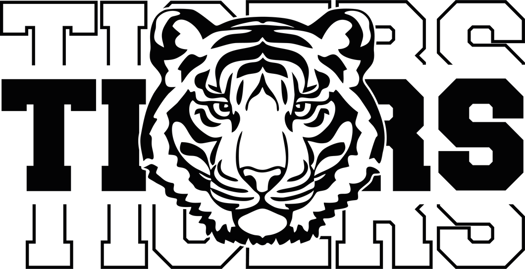 Eye of the Tiger